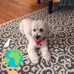 Meet your Posher, Lynn